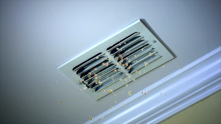 Home Air Vent Cleaning in LA